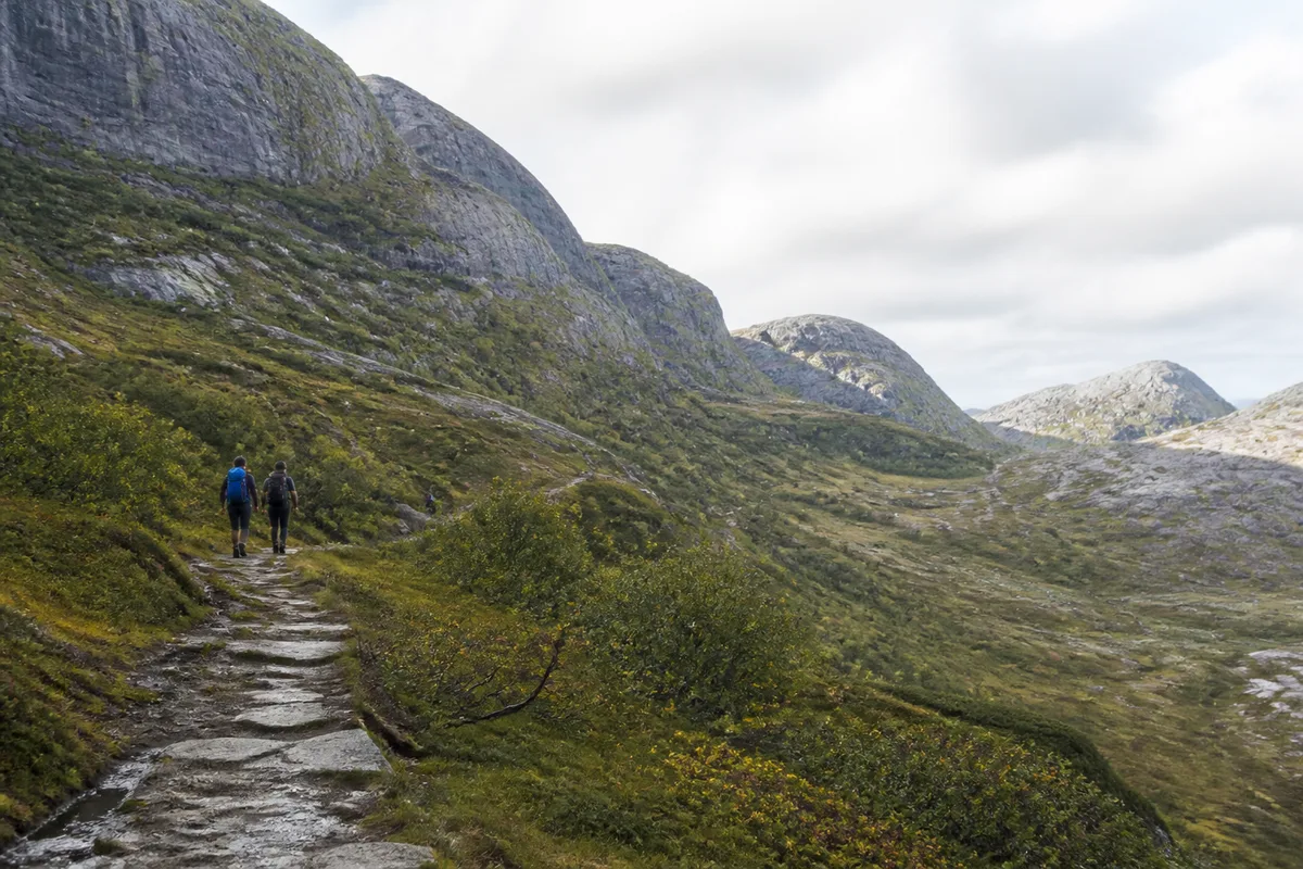Voyageurs observant un vaste paysage naturel depuis un sentier aménagé